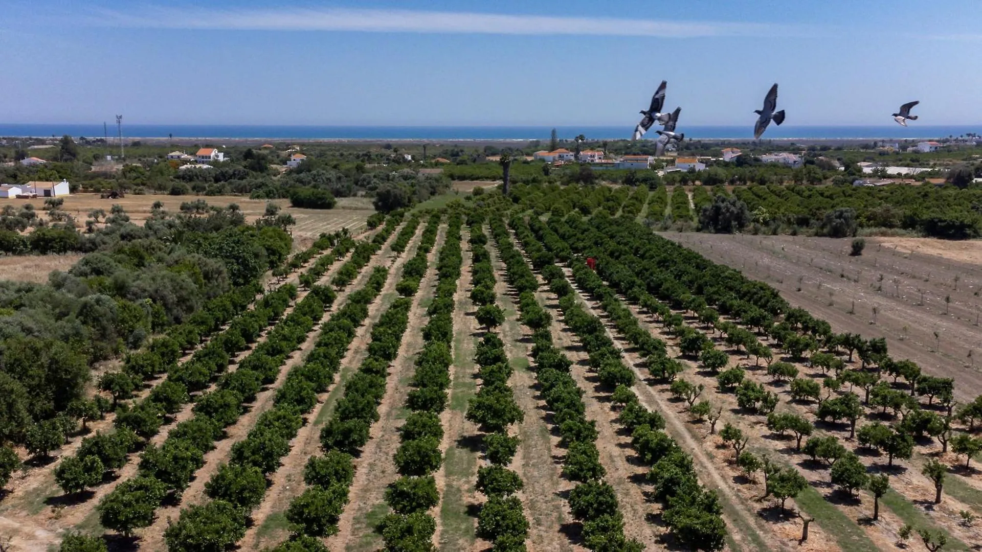 Сasa de vacaciones Villa Casa D'Nossa, Casa Tradicional E Moderna, Vista 360º, Piscina De Agua Salgada Luz de Tavira Portugal